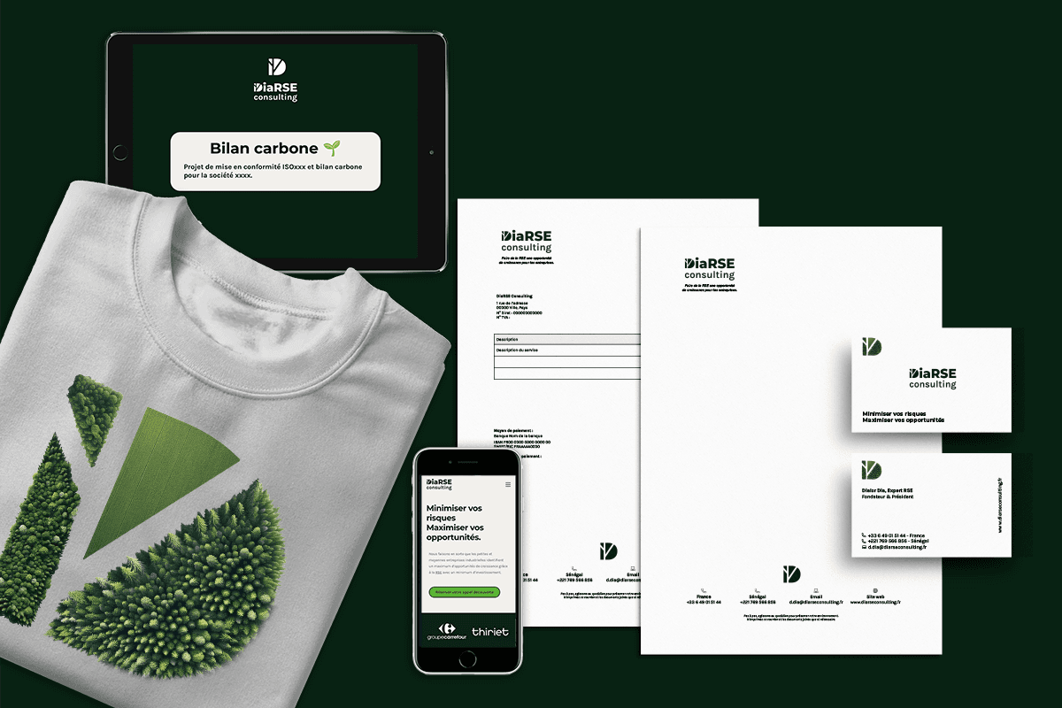 Dia RSE project visual