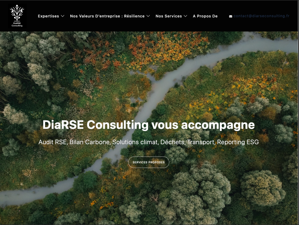 Accueil desktop de l'ancien site DiarRSE Consulting