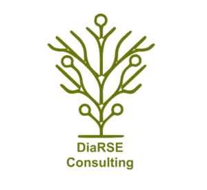 Ancien logo DiaRSE Consulting