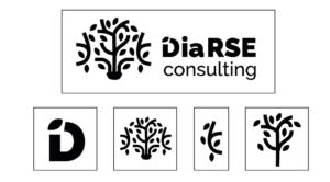 Piste 2 logo DiaRSE Consulting